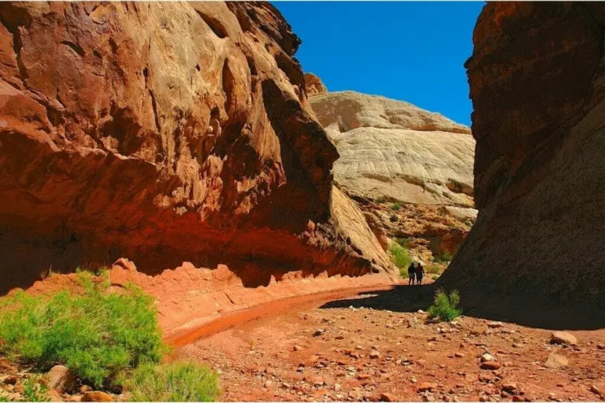 st george narrows