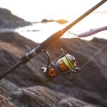 spinning reel