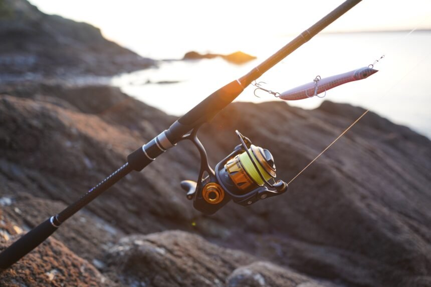 spinning reel